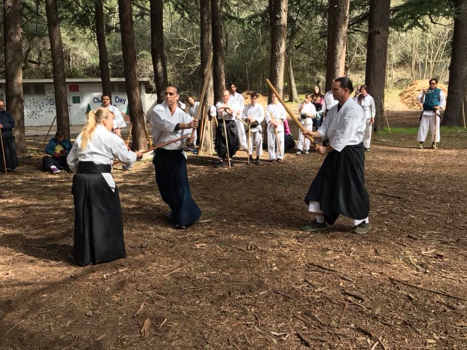Patricia Hendrics Shihan Teaching Iwama-Ryu Aikido in the Park