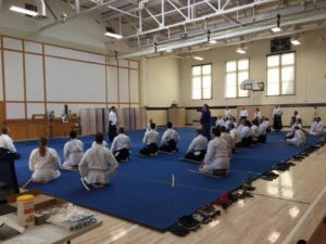 Mn Aiki-Shuren Dojo Spring Aikido Seminar - Training on Sunday!