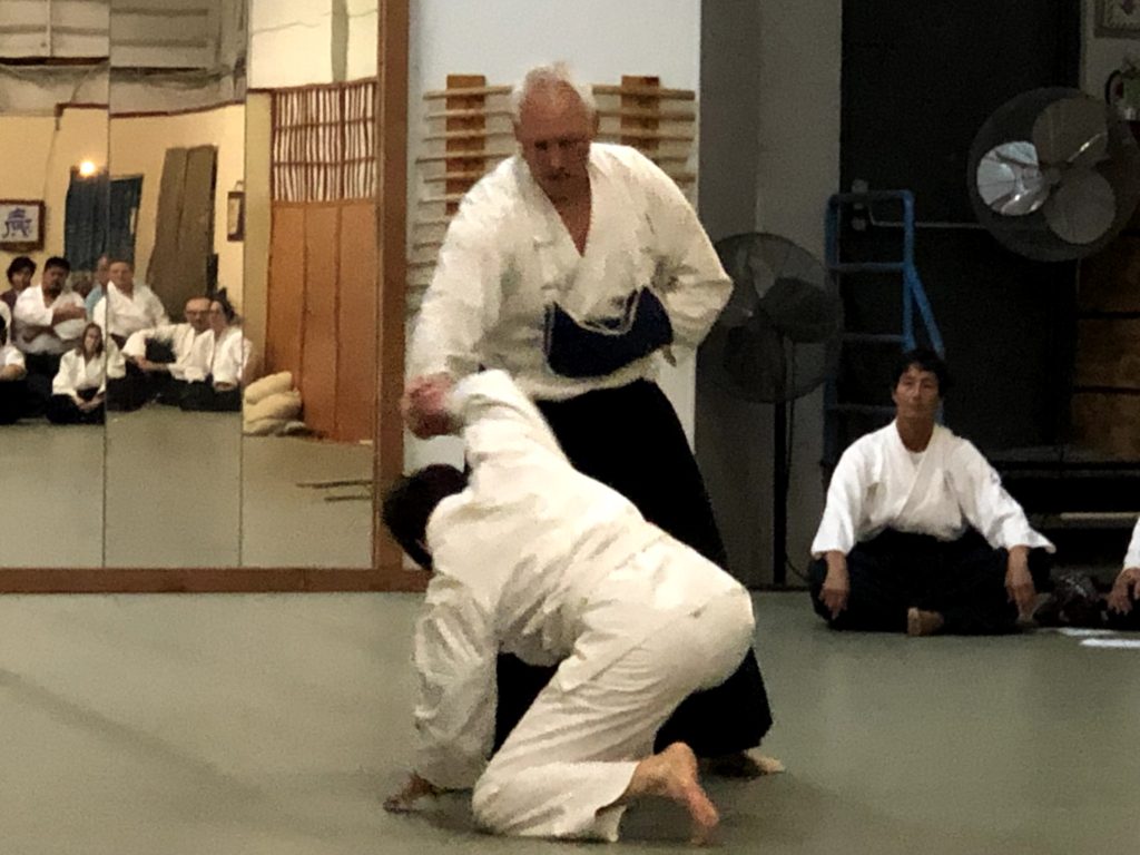 Dave Kohls - One Armed Aikido